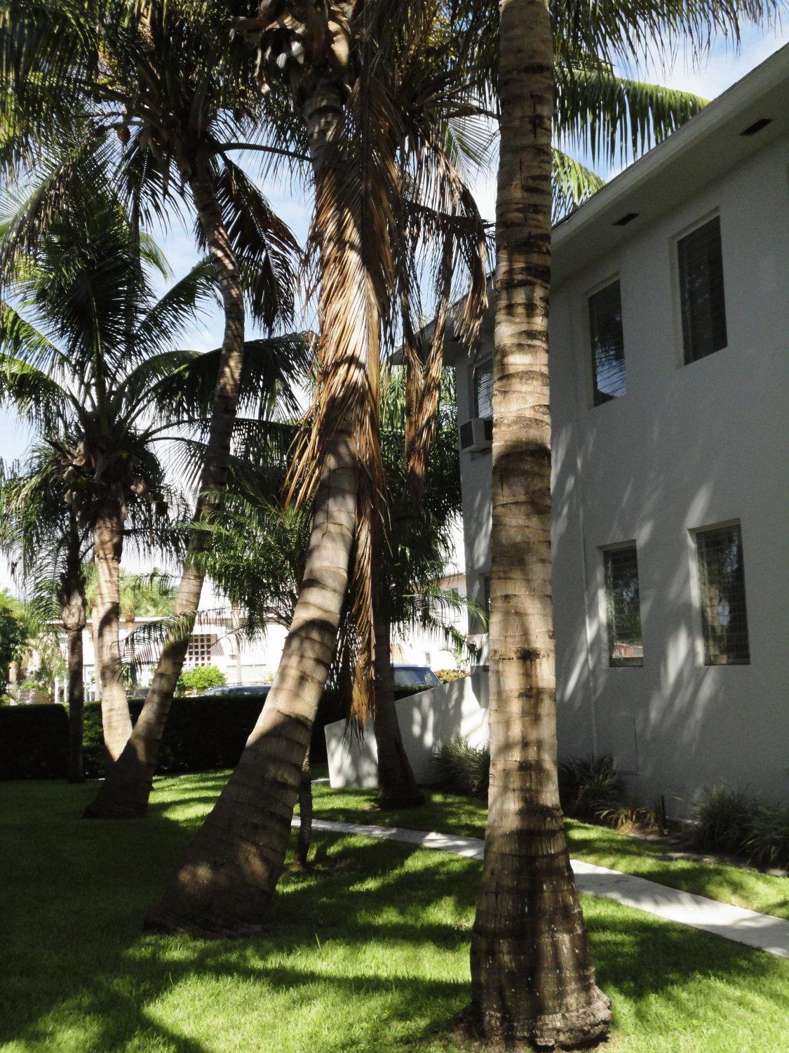Summerland Suites Fort Lauderdale Esterno foto